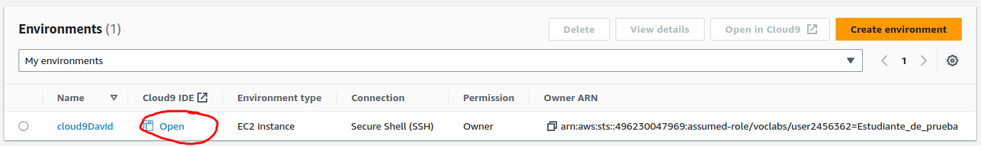 Abrir el entorno creado