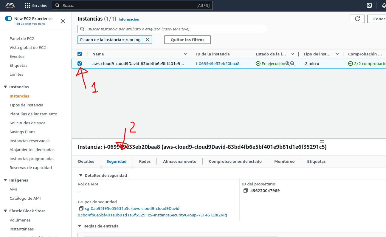 Seleccionar la instancia y la pestaña seguridad