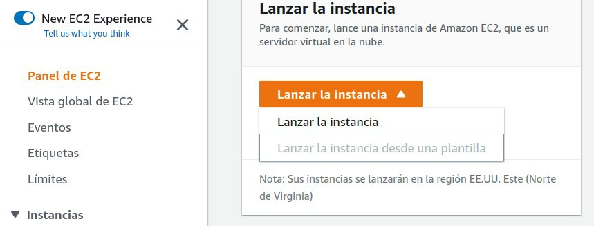 Lanzar la instancia EC2