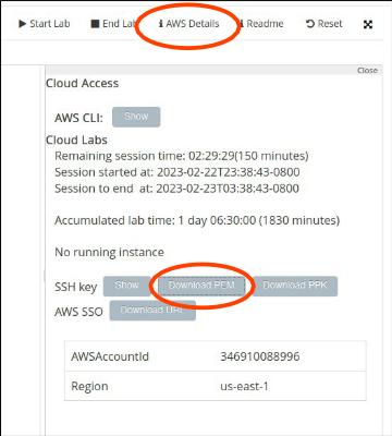 image-20250111201103797