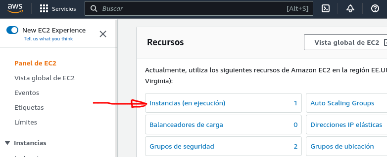 Elegir instancias en ejecución
