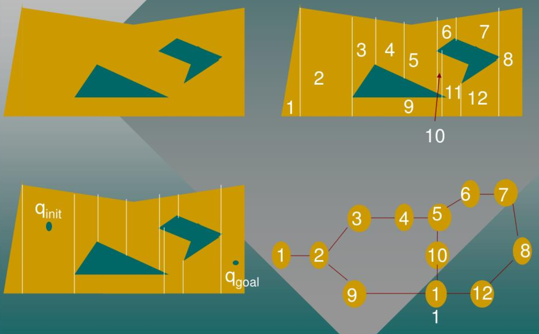 Descomposición celular