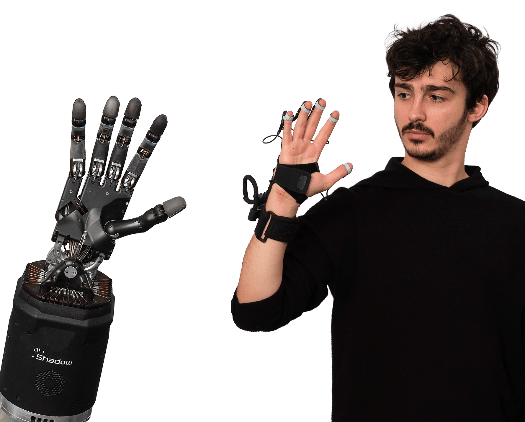 Shadow Hand & Glove for Dextrous Manipulation | Shadow Robot